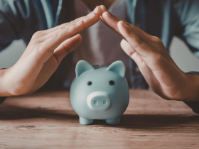 Sindnapi - Sindicato Nacional dos Aposentados, Pensionistas e Idosos