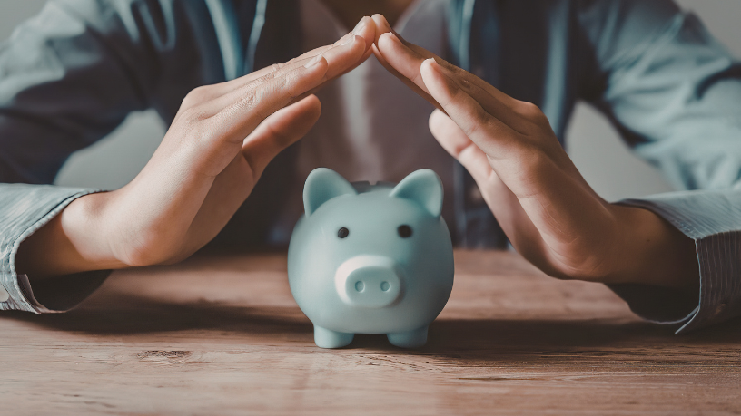 Sindnapi - Sindicato Nacional dos Aposentados, Pensionistas e Idosos